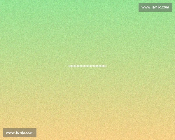 金晨赛车总决赛完美收官！团队协作铸就天衣无缝夺冠之路