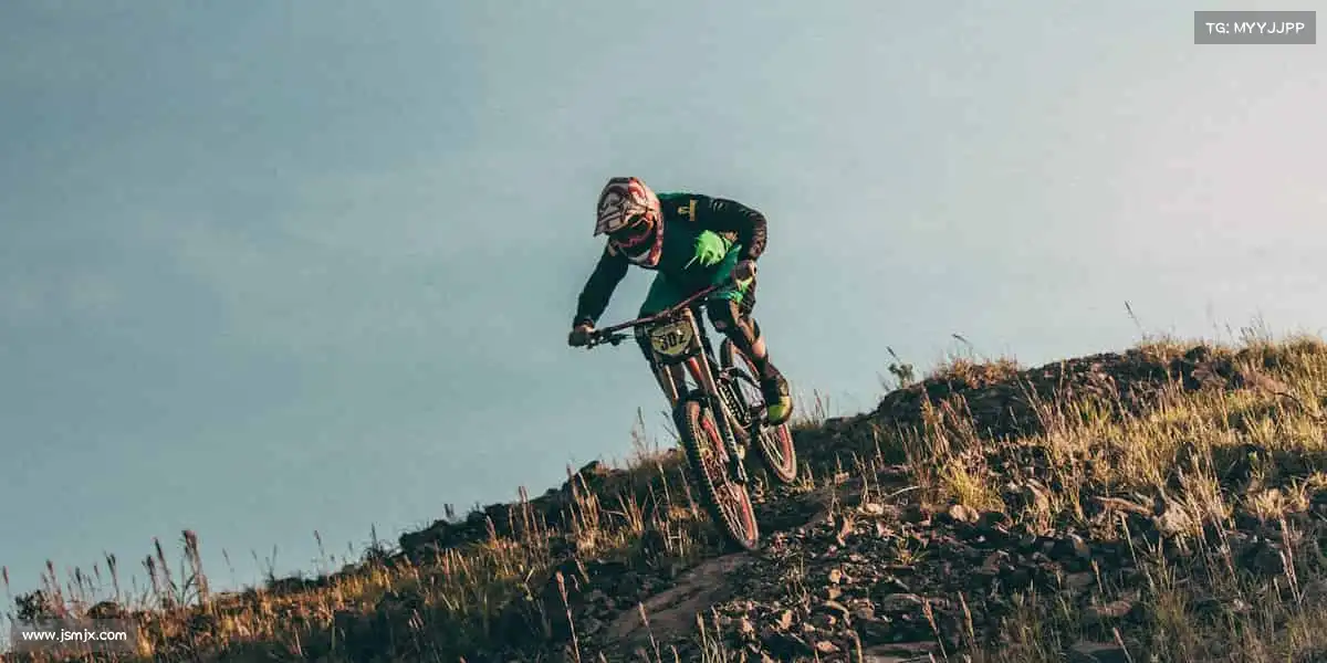 行业领先的理由